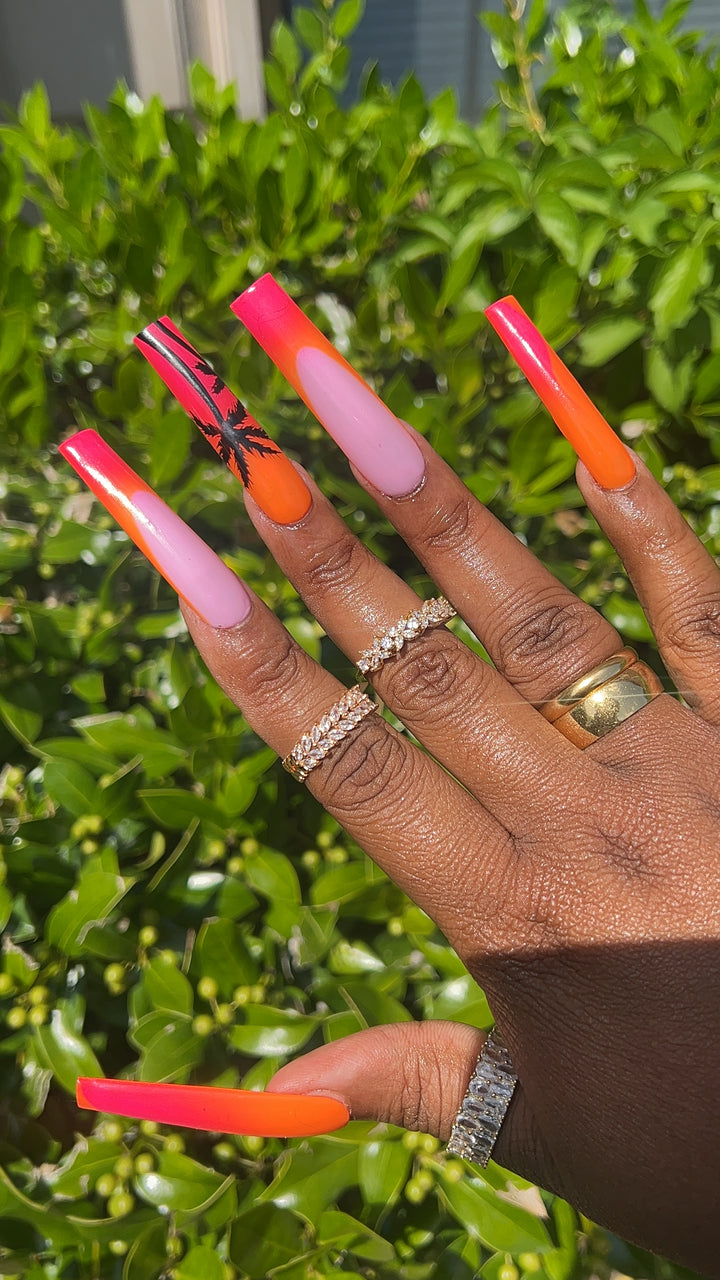 Tropical Paradise